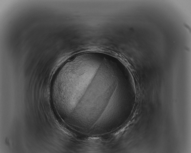 X0000092300055200710041455