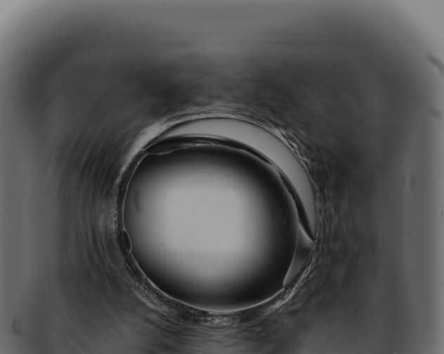 X0000092300056200710041455