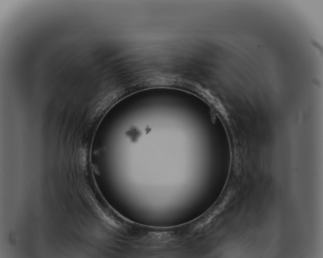 X0000092300057200710041455