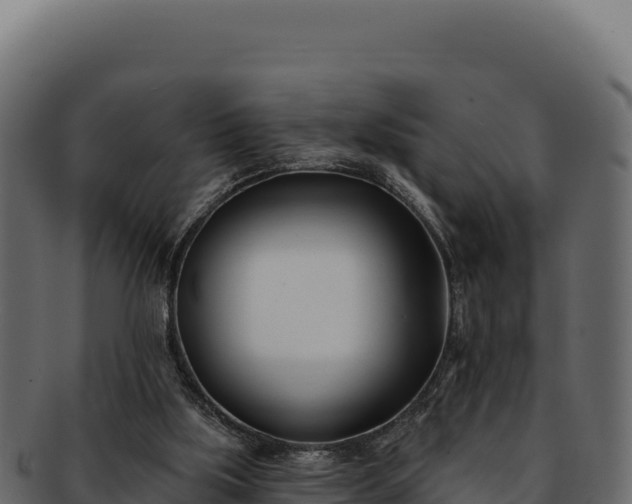 X0000092300059200710041455