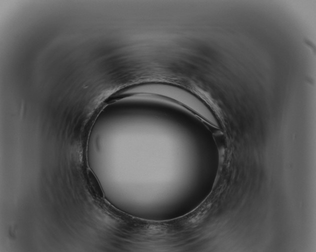 X0000092300060200710041455