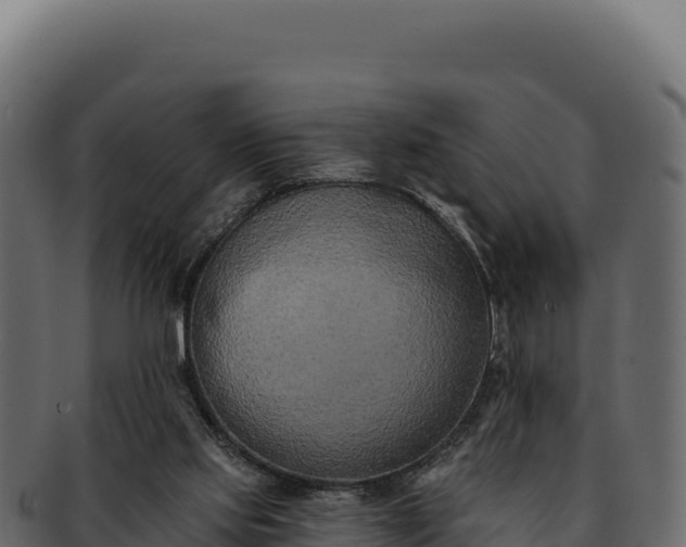 X0000092300061200710041455