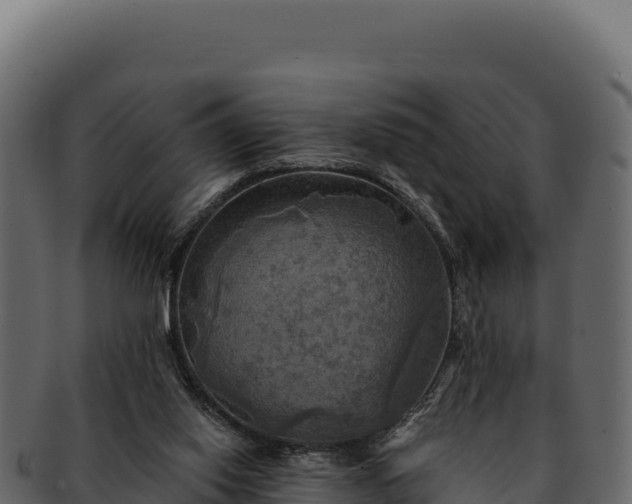 X0000092300062200710041455