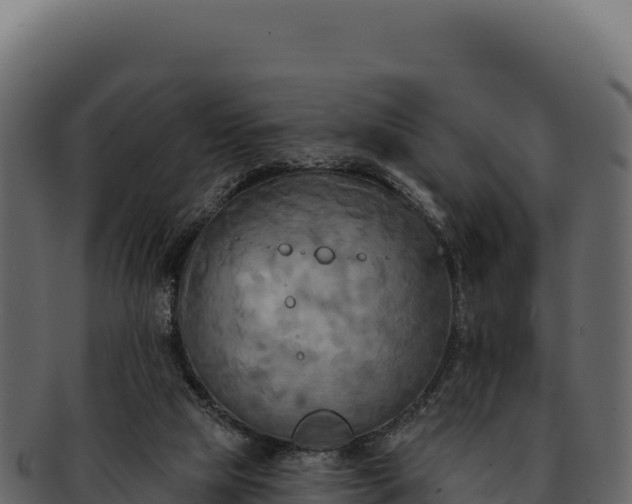 X0000092300065200710041455