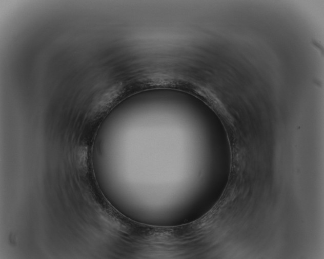 X0000092300066200710041455