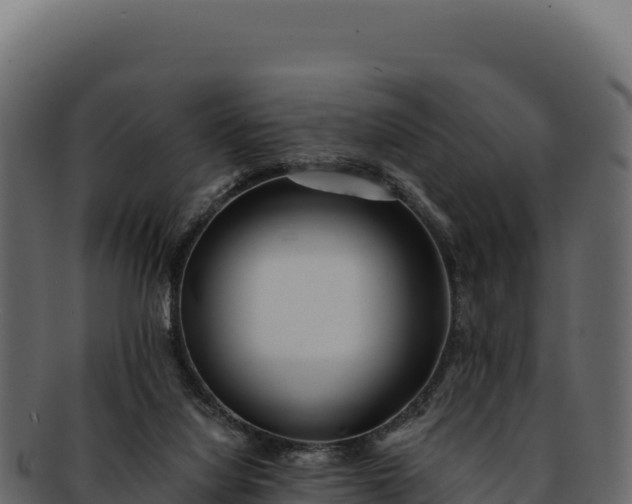 X0000092300068200710041455