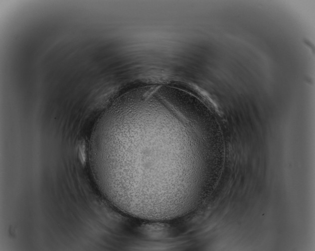 X0000092300069200710041455