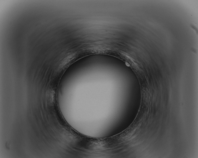 X0000092300071200710041455