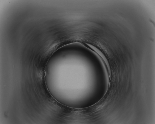 X0000092300072200710041455