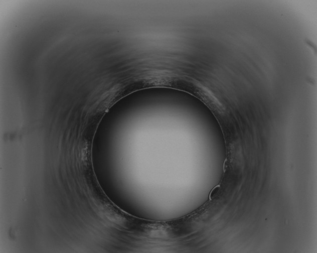 X0000092300073200710041455