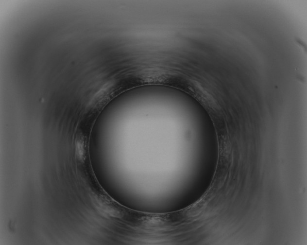 X0000092300074200710041455