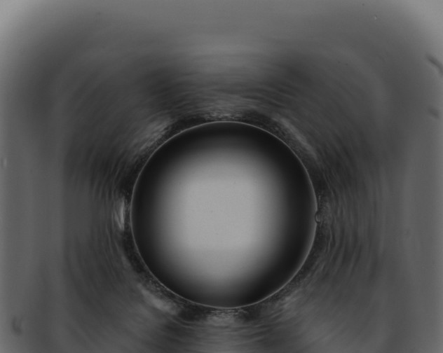 X0000092300076200710041455