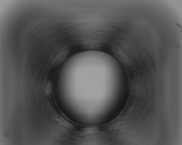 X0000092300077200710041455