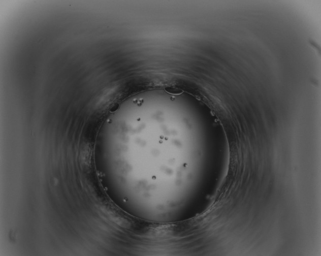 X0000092300078200710041455