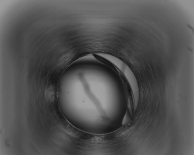 X0000092300080200710041455