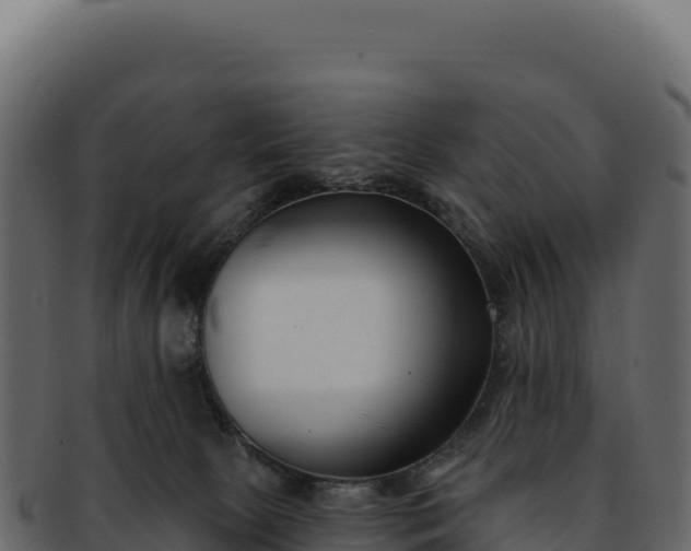 X0000092300081200710041455