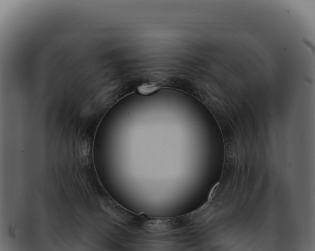 X0000092300082200710041455