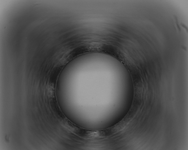 X0000092300083200710041455