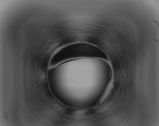 X0000092300084200710041455