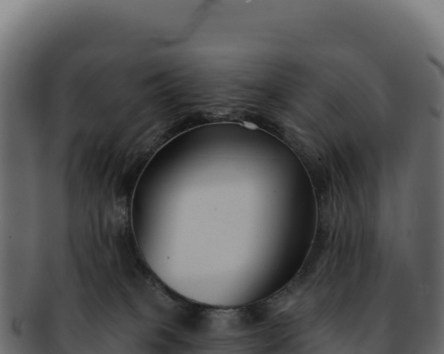 X0000092300085200710041455