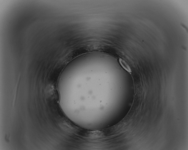 X0000092300087200710041455