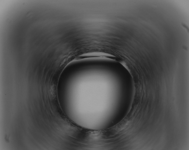 X0000092300088200710041455