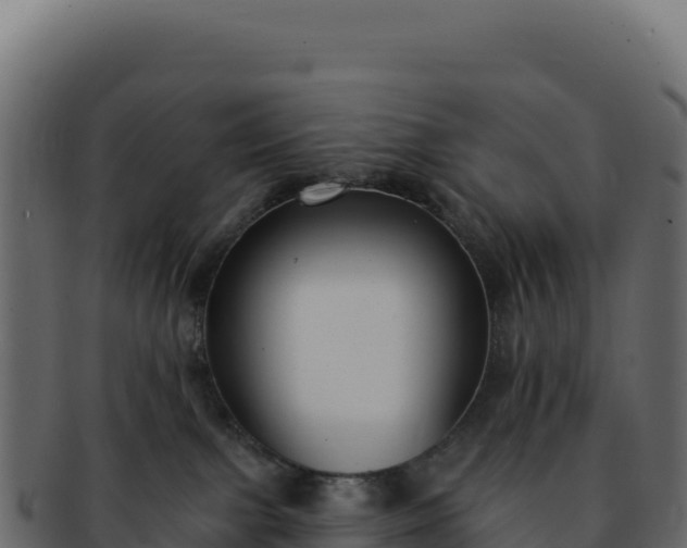 X0000092300091200710041455