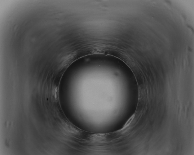 X0000092300094200710041455