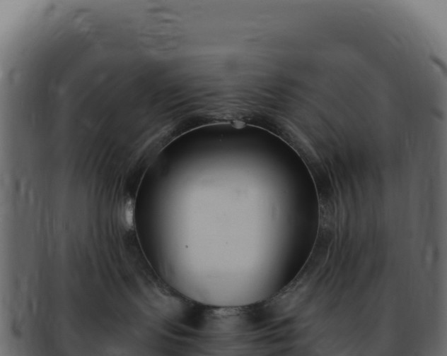 X0000092300095200710041455