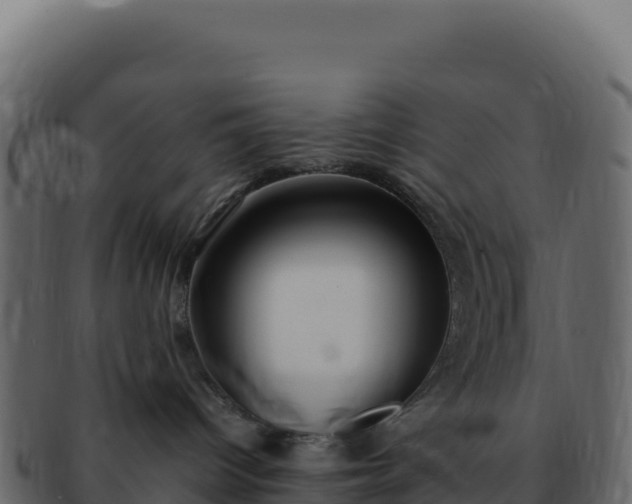 X0000092300096200710041455