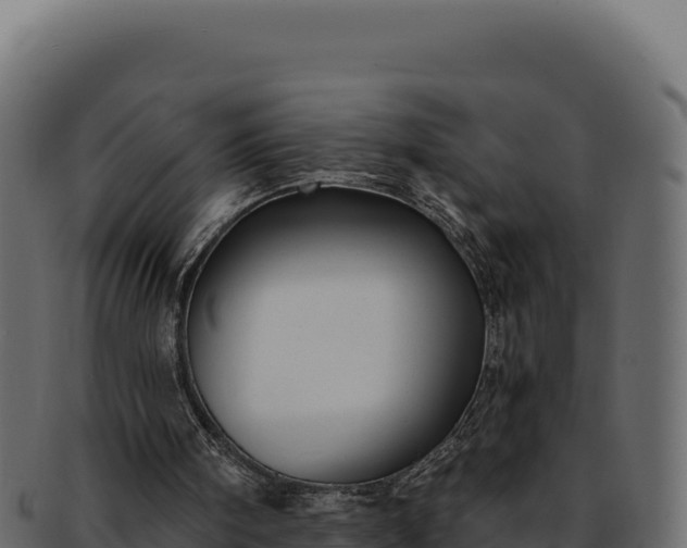 X0000092300098200710041455