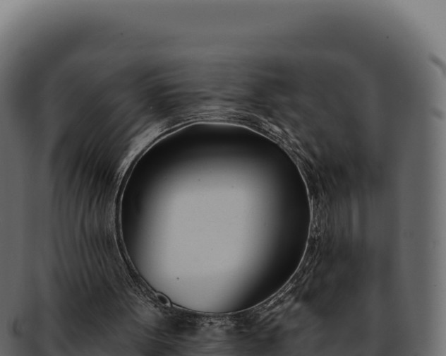 X0000092300099200710041455