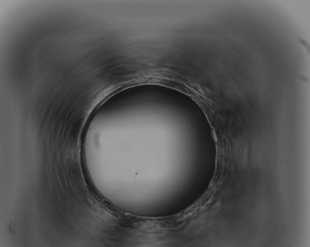 X0000092300100200710041455