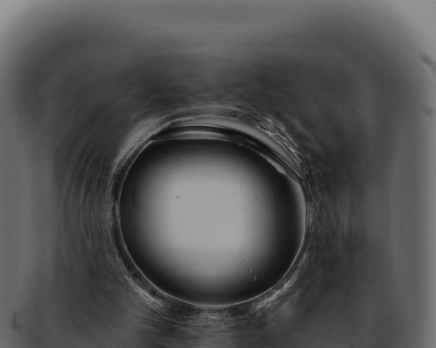 X0000092300101200710041455