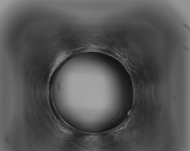 X0000092300102200710041454