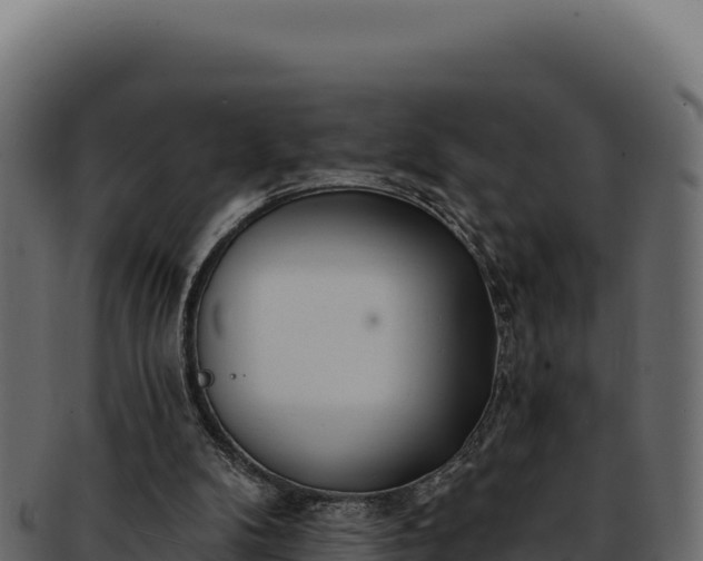 X0000092300104200710041454