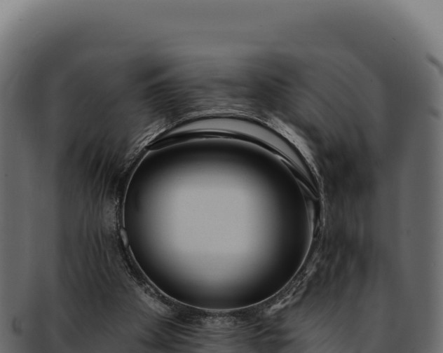 X0000092300105200710041454