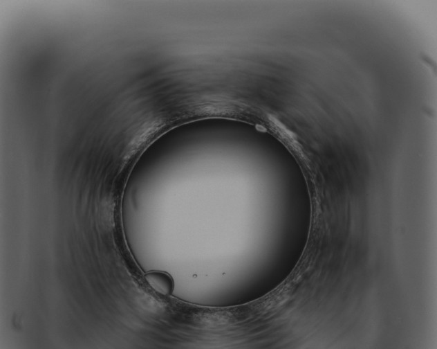 X0000092300106200710041454