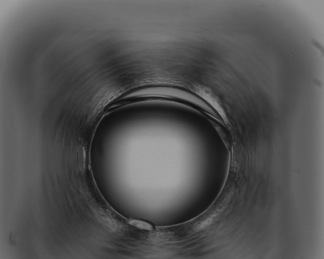 X0000092300109200710041454