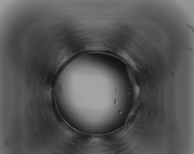 X0000092300111200710041454