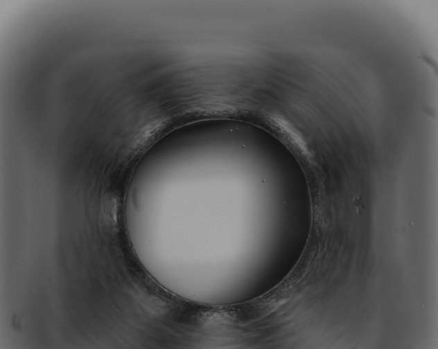 X0000092300115200710041454