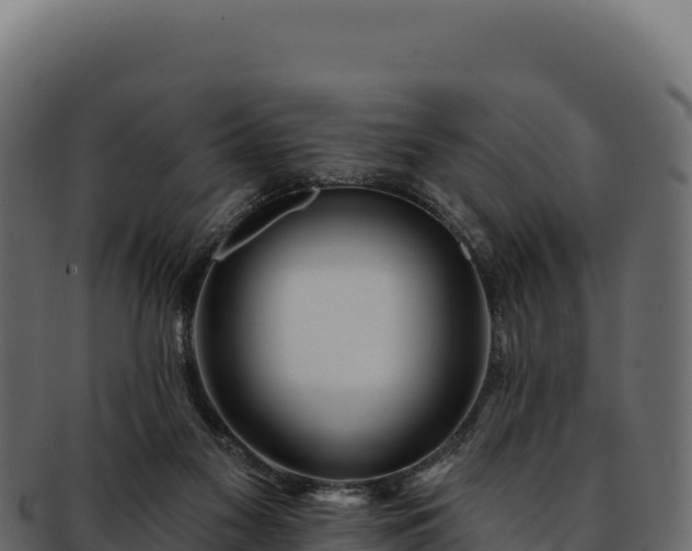 X0000092300117200710041454