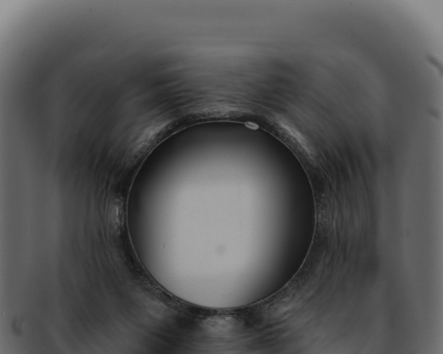 X0000092300119200710041454