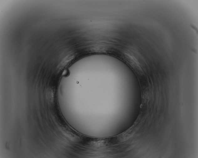 X0000092300120200710041454