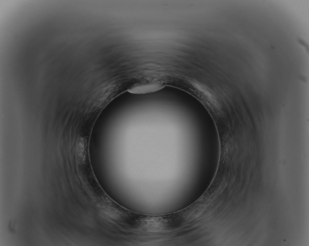 X0000092300121200710041454