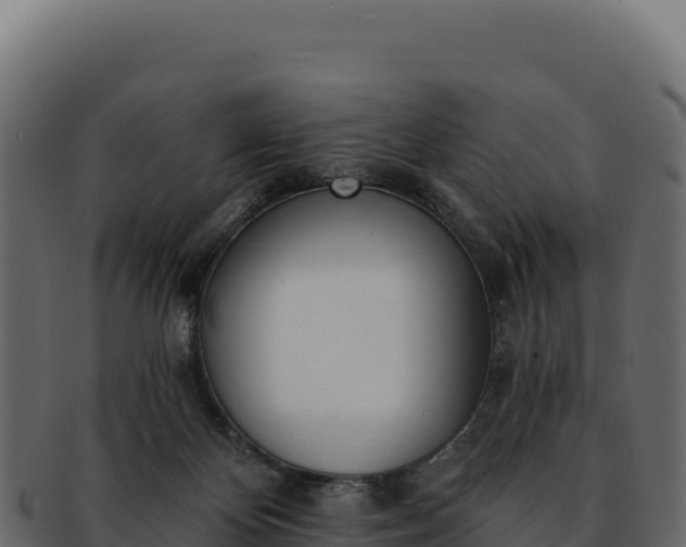 X0000092300124200710041454