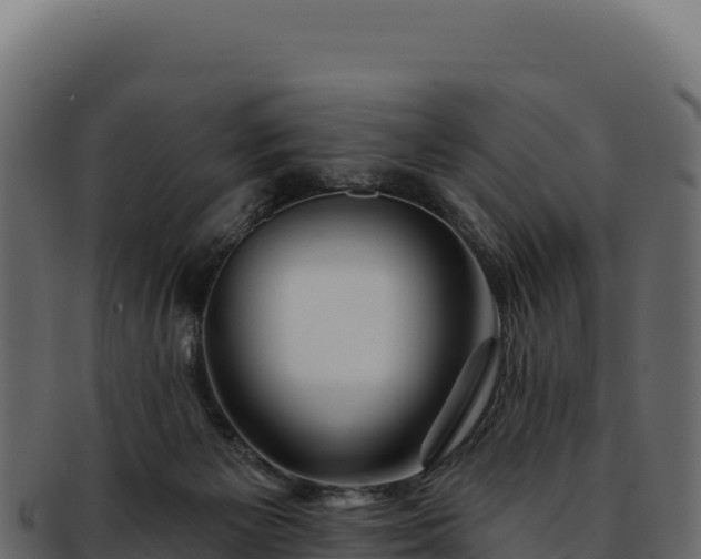 X0000092300125200710041454