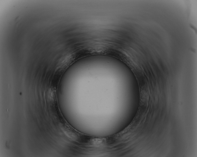 X0000092300126200710041454