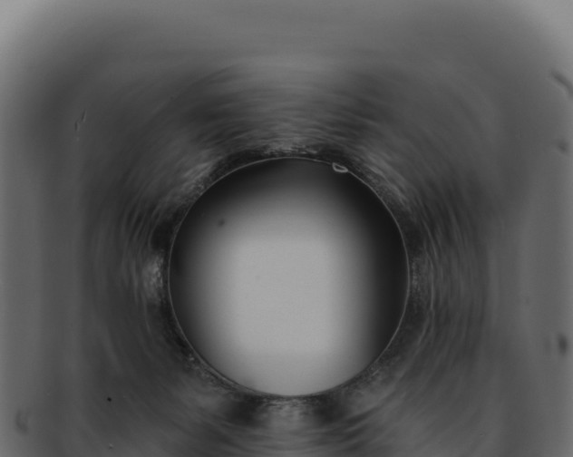 X0000092300127200710041454