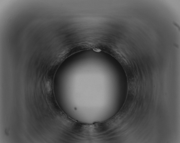 X0000092300131200710041454